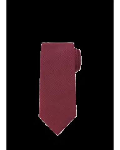 Brioni Solid Textured Silk Tie | Thumbnail 2