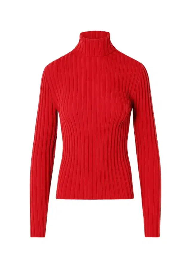 Wool Knit Turtleneck Sweater
