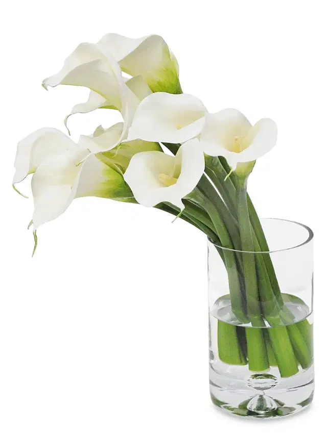 Winward Home Everyday Floral Imitation Calla Lily In Cylinder Vase