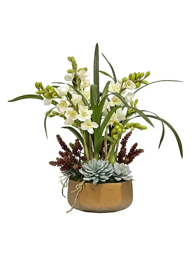 Winward Home Everyday Newness Refresh Orchid Succulent In Golden Pot