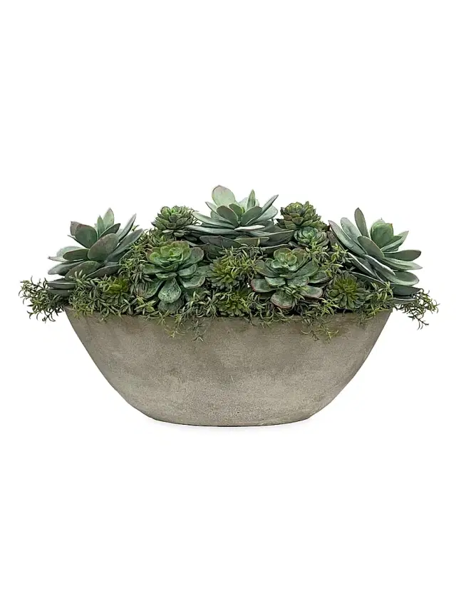 Winward Home Faux Succulent Oval Planter
