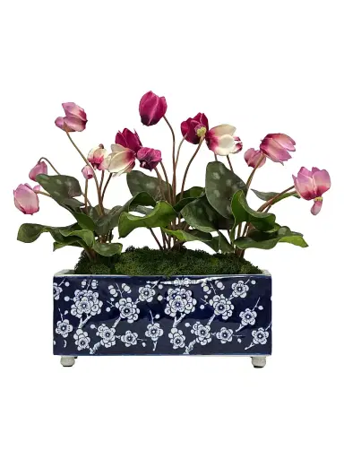 Winward Home Everyday Newness Refresh Imitation Cyclamen Bouquet In Ceramic Vase | Thumbnail 1 Winward Home Everyday Newness Refresh Imitation Cyclamen Bouquet In Ceramic Vase | Thumbnail 1