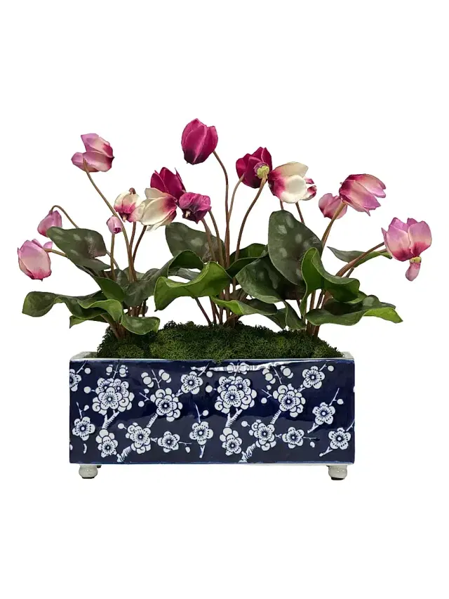 Winward Home Everyday Newness Refresh Imitation Cyclamen Bouquet In Ceramic Vase