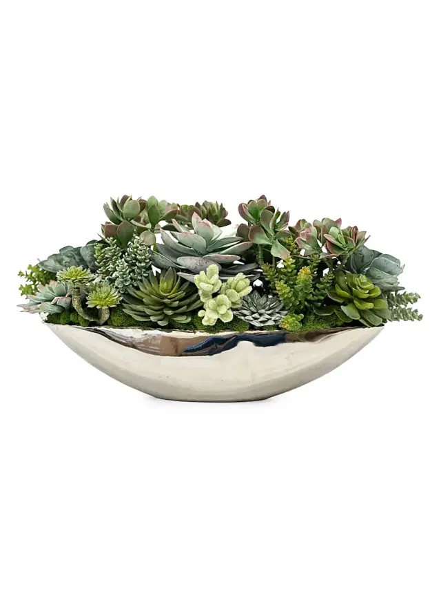 Winward Home Everyday Newness Refresh Faux Succulent Arrangement