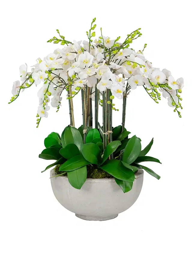Winward Home Everyday Newness Refresh Faux Orchid Arrangement