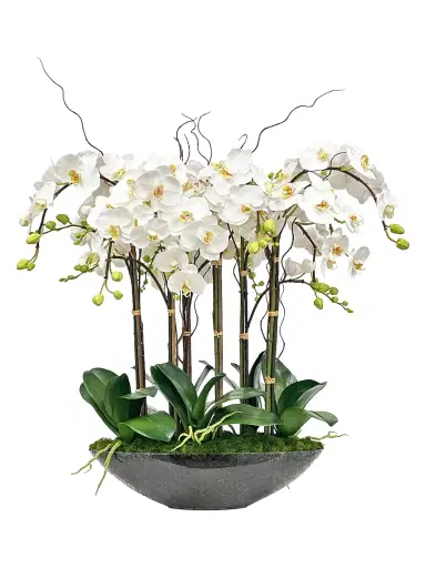 Winward Home Everyday Newness Refresh Faux Phalaenopsis Arrangement | Thumbnail 1 Winward Home Everyday Newness Refresh Faux Phalaenopsis Arrangement | Thumbnail 1