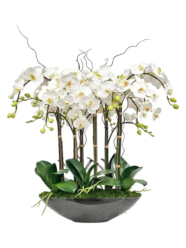 Winward Home Everyday Newness Refresh Faux Phalaenopsis Arrangement