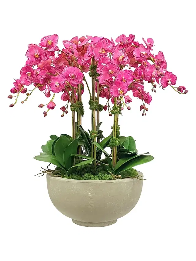 Winward Home Everyday Newness Refresh Faux Orchid Arrangement - Purple White