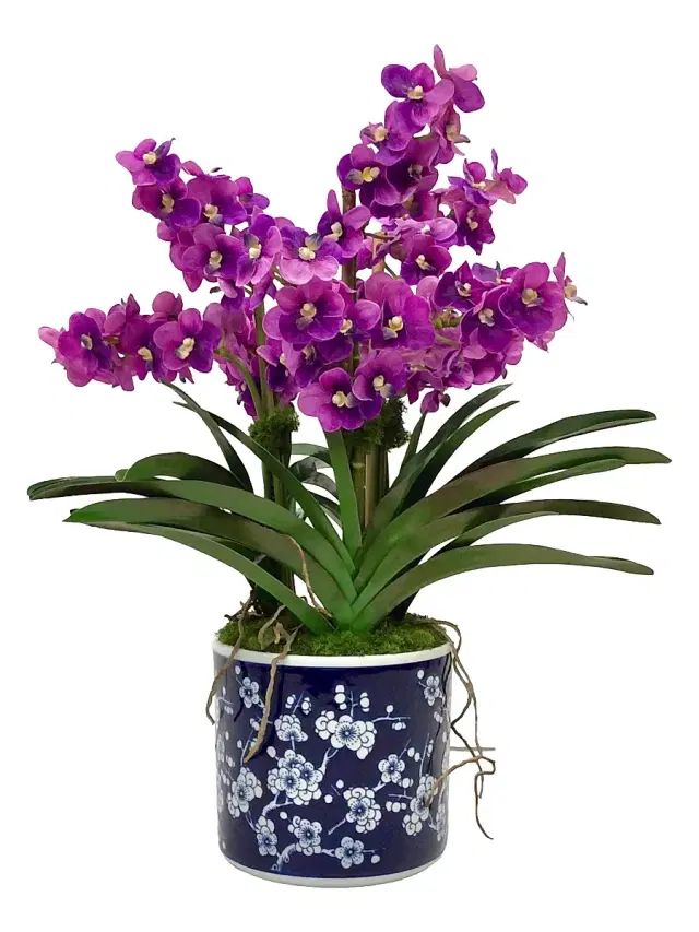 Winward Home Everyday Newness Refresh Faux-Vanda Orchid Arrangement - Lavender Purple