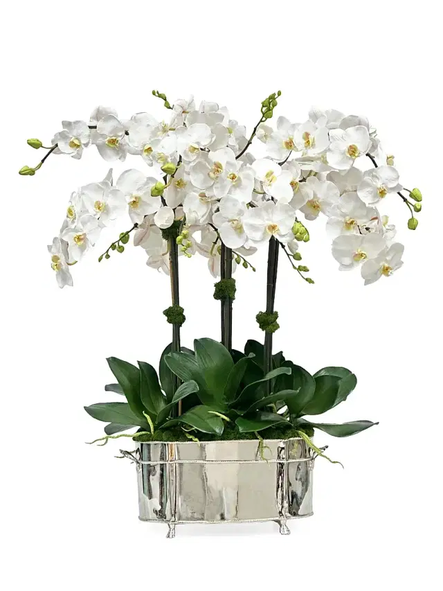 Winward Home Everyday Newness Refresh Faux-Orchid Arrangement