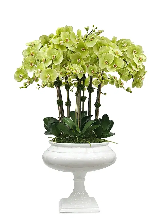 Winward Home Everyday Newness Refresh Faux Orchid Arrangement
