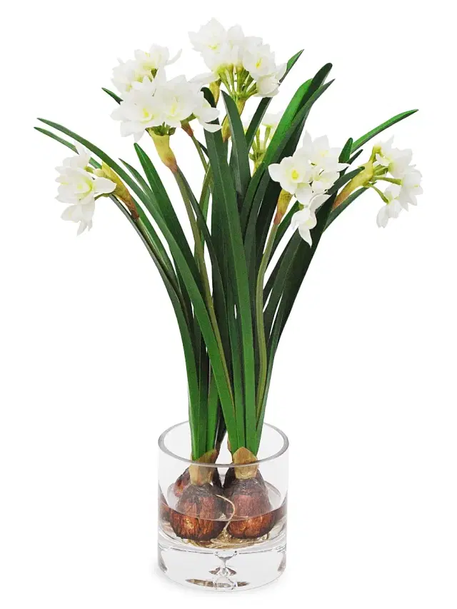 Winward Home Everyday Floral Imitation Narcissus Flowers In Clear Vase