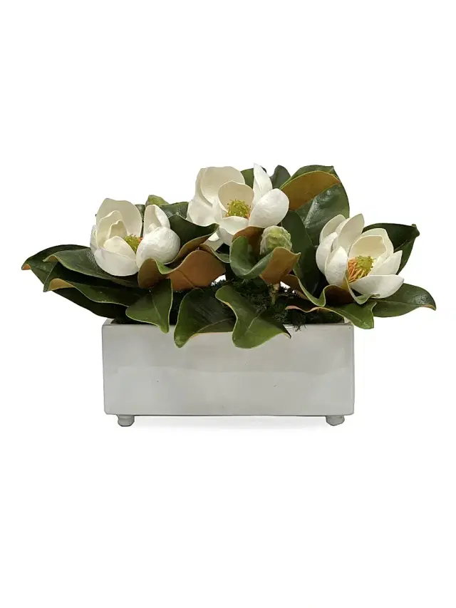 Winward Home Everyday Newness Refresh Imitation Magnolia In Ceramic Vessel