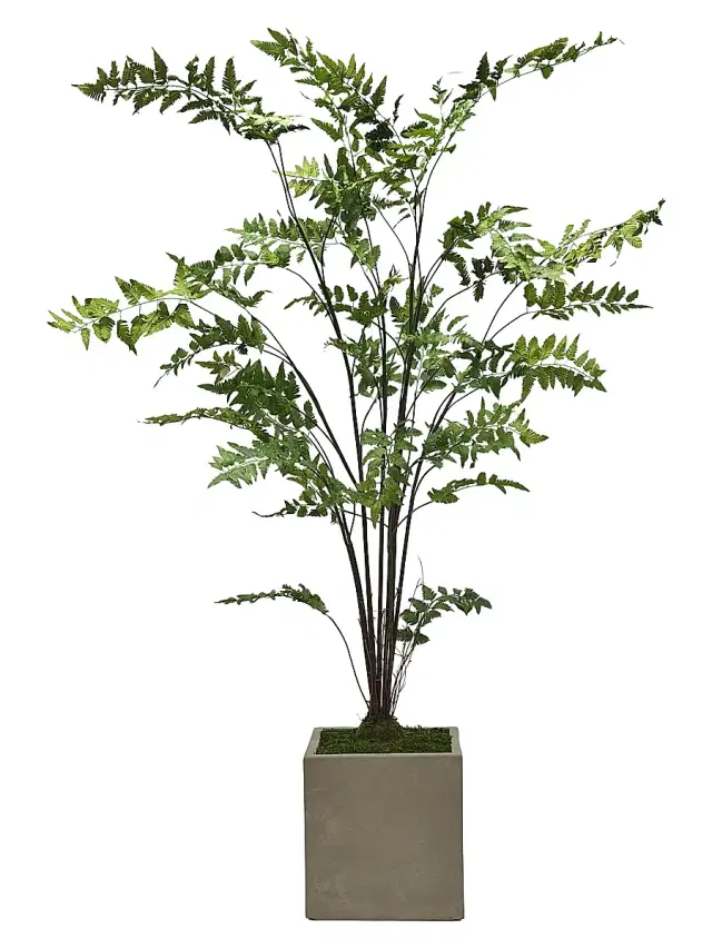 Winward Home Everyday Newness Refresh Imitation Fern Tree In Square Vase