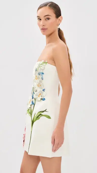 LEO LIN Roselle Embroidered Bustier Mini Dress | Thumbnail 4 LEO LIN Roselle Embroidered Bustier Mini Dress | Thumbnail 4