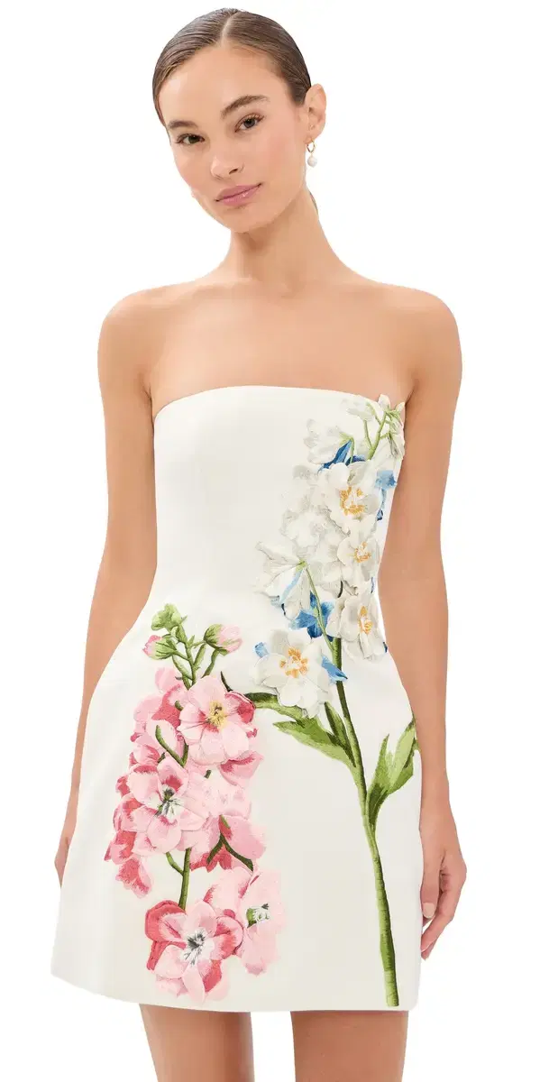 Roselle Embroidered Bustier Mini Dress