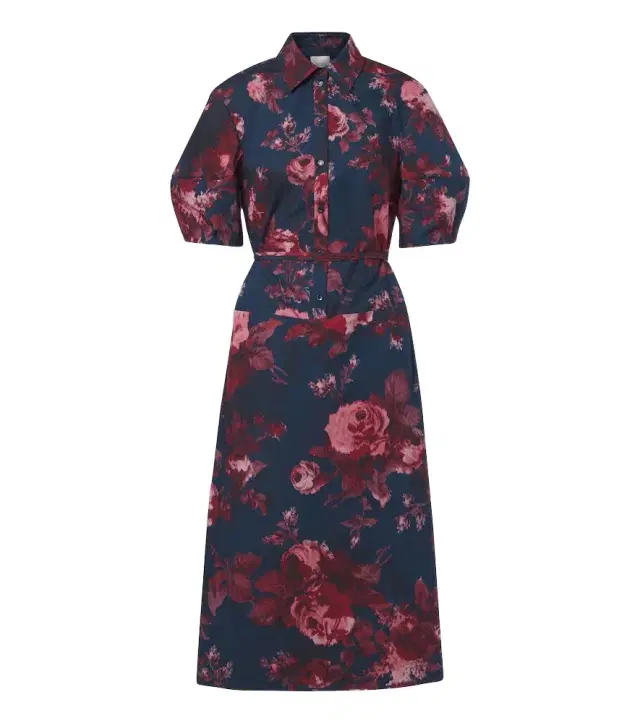 Erdem Floral cotton poplin shirt dress