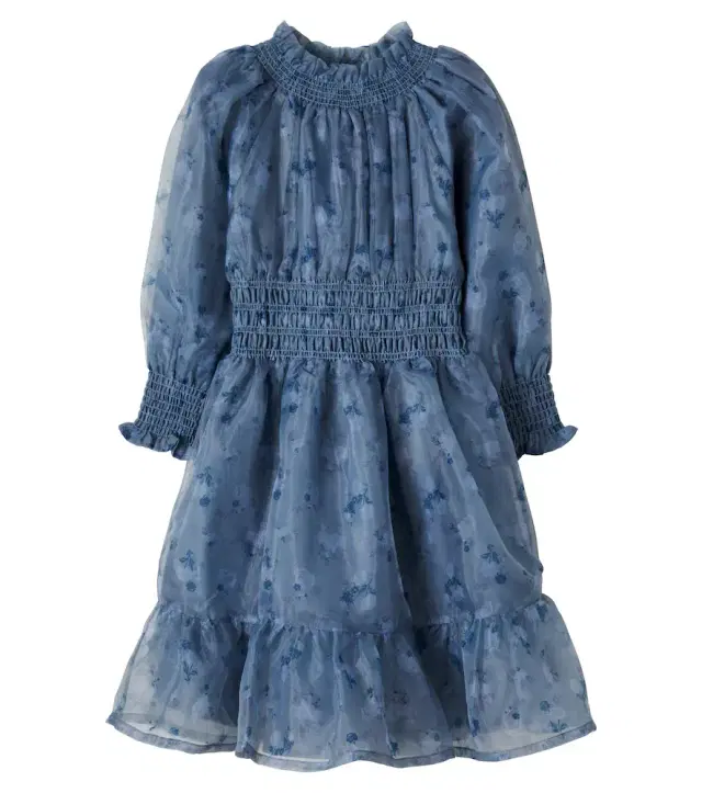 C'era Una Volta Kara embroidered tulle dress