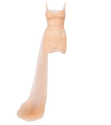 Maria Lucia Hohan Elsinora tulle corset minidress | Thumbnail 1
