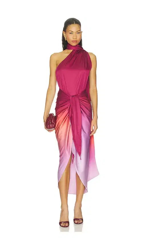 Baobab Lora Maxi Dress