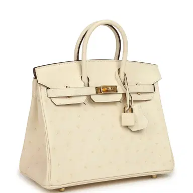 HERMÈS Hermes Birkin 25 Nata Ostrich Boreal Gold Hardware | Thumbnail 2 HERMÈS Hermes Birkin 25 Nata Ostrich Boreal Gold Hardware | Thumbnail 2