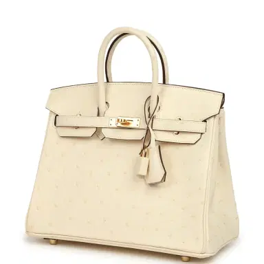 HERMÈS Hermes Birkin 25 Nata Ostrich Boreal Gold Hardware | Thumbnail 5 HERMÈS Hermes Birkin 25 Nata Ostrich Boreal Gold Hardware | Thumbnail 5