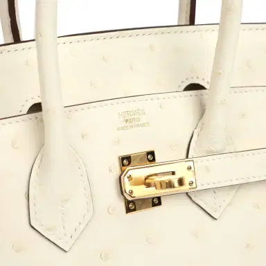HERMÈS Hermes Birkin 25 Nata Ostrich Boreal Gold Hardware | Thumbnail 7 HERMÈS Hermes Birkin 25 Nata Ostrich Boreal Gold Hardware | Thumbnail 7