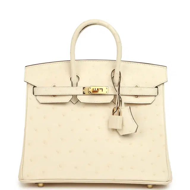 HERMÈS Hermes Birkin 25 Nata Ostrich Boreal Gold Hardware