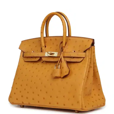 HERMÈS Hermes Birkin 25 Safran Ostrich Gold Hardware | Thumbnail 5 HERMÈS Hermes Birkin 25 Safran Ostrich Gold Hardware | Thumbnail 5
