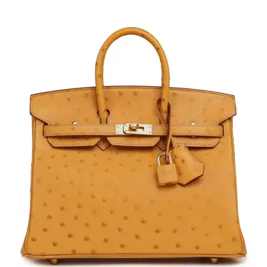 HERMÈS Hermes Birkin 25 Safran Ostrich Gold Hardware | Thumbnail 1 HERMÈS Hermes Birkin 25 Safran Ostrich Gold Hardware | Thumbnail 1