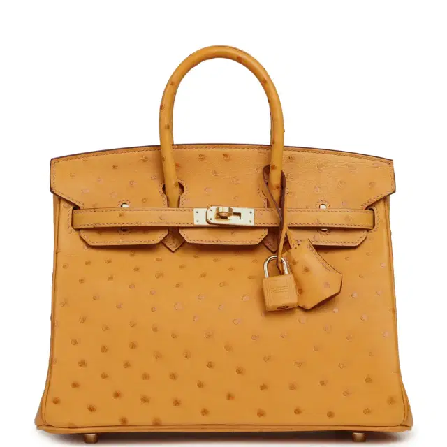 HERMÈS Hermes Birkin 25 Safran Ostrich Gold Hardware