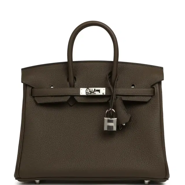 HERMÈS Hermes Birkin 25 Vert Loden Togo Palladium Hardware