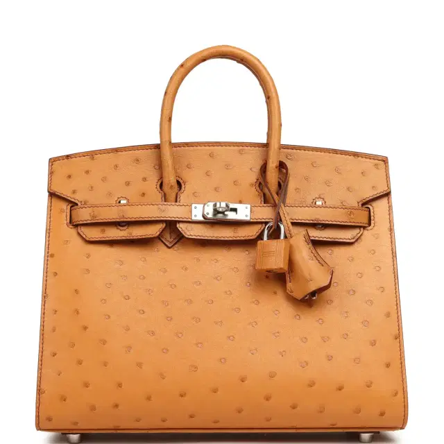 HERMÈS Hermes Birkin Sellier 25 Gold Ostrich Palladium Hardware