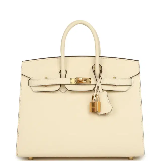 HERMÈS Hermes Birkin Sellier 25 Nata Epsom Gold Hardware