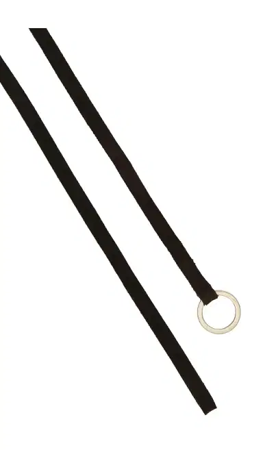 St. Agni Suede Tie Belt | Thumbnail 2