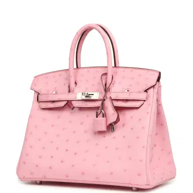 HERMÈS Hermes Birkin 25 Bubblegum Ostrich Boreal Palladium Hardware | Thumbnail 5