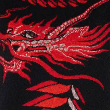 Roberto Cavalli Long Sweater With Pattern And Dragon | Thumbnail 4