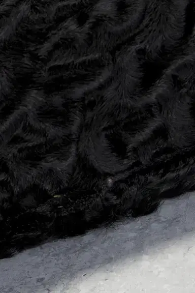 Prada Astrakhan Fur Shoulder Bag | Thumbnail 6 Prada Astrakhan Fur Shoulder Bag | Thumbnail 6