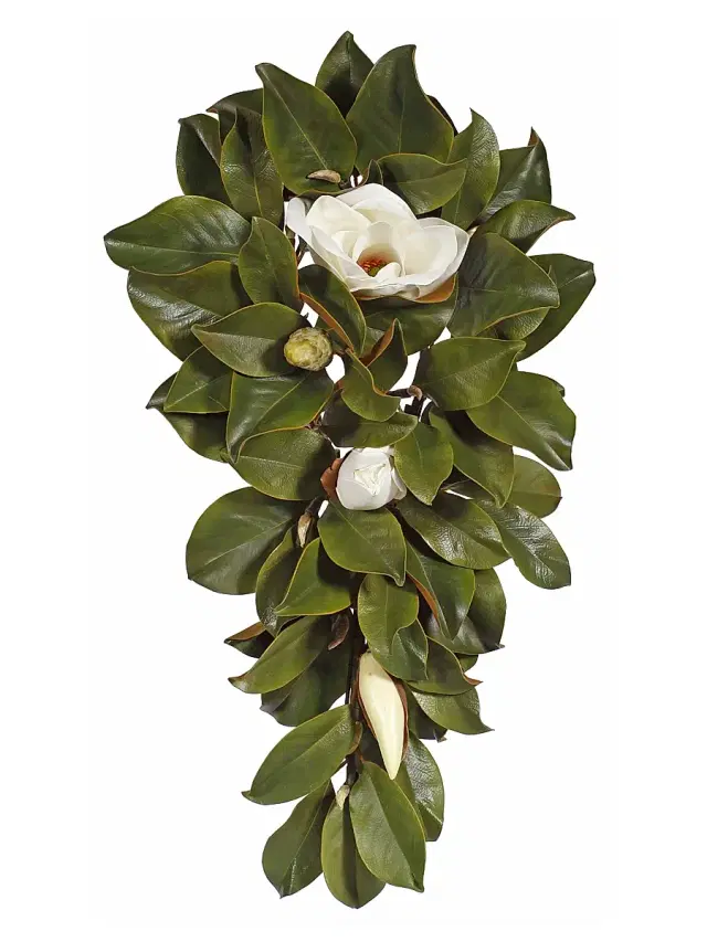 Winward Home Teardrop Magnolia - White Green