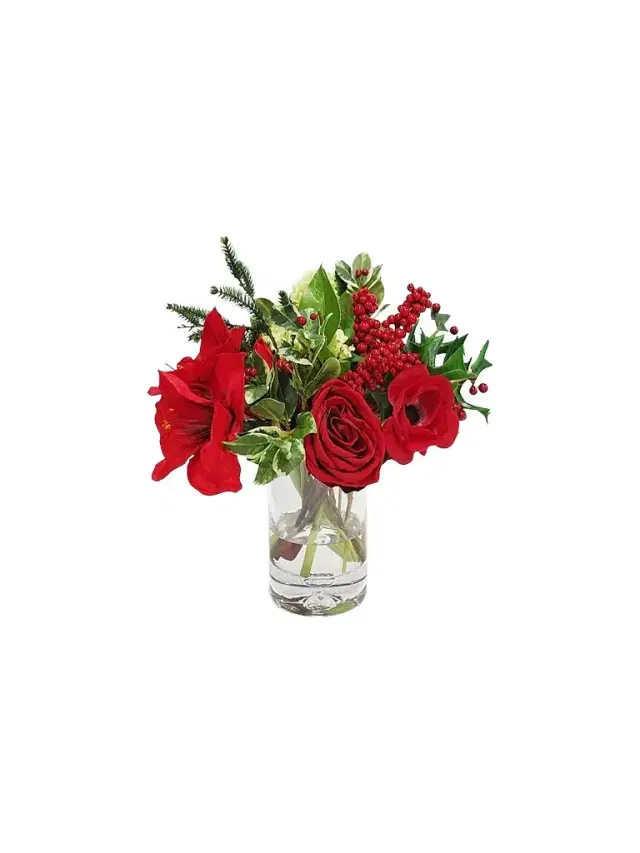 Winward Home Holiday Amaryllis Snowball In Vase