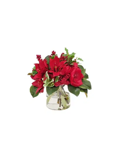 Winward Home Holiday Amaryllis & Holly In Vase | Thumbnail 1 Winward Home Holiday Amaryllis & Holly In Vase | Thumbnail 1