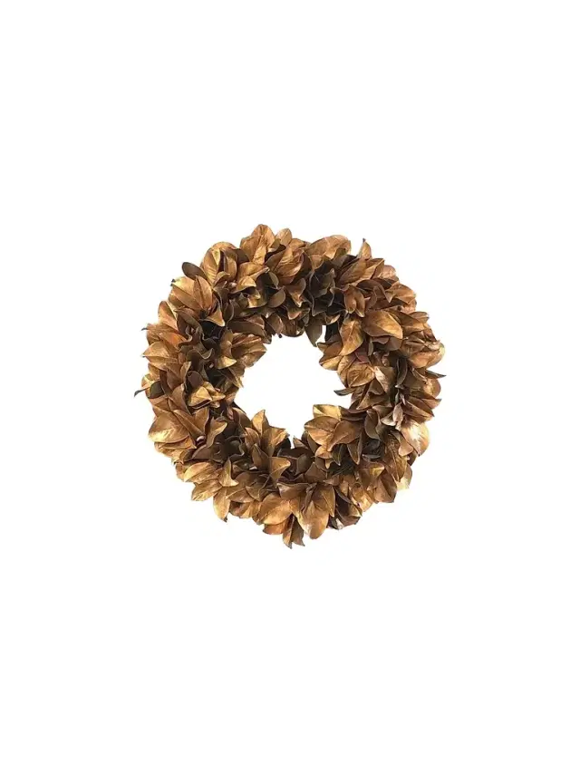 Winward Home Holiday Golden Magnolia Wreath