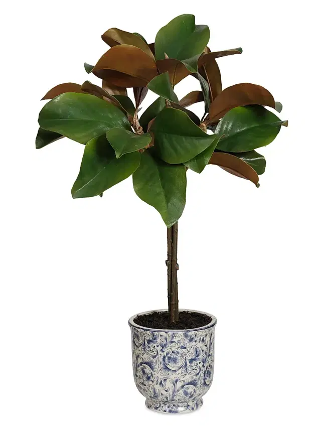 Winward Home Holiday Newness Faux Magnolia Leaf Tree
