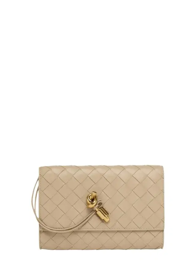 Bottega Veneta Andiamo Leather Pouch Bag