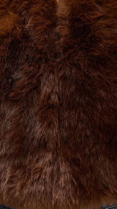 BLANKNYC Gala Affair Faux Fur Jacket Brown | Thumbnail 6
