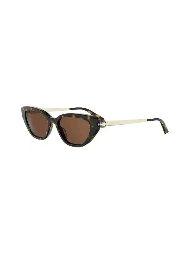 BVLGARI Women's Serpenti Forever 52MM Cat-Eye Sunglasses - Brown