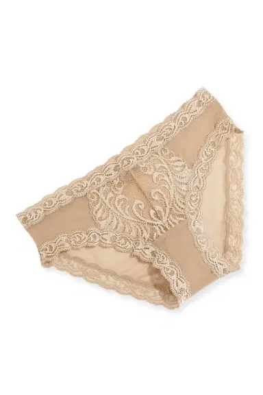 Natori Feathers Lace-Trim and Mesh Hipster Briefs | Thumbnail 3 Natori Feathers Lace-Trim and Mesh Hipster Briefs | Thumbnail 3