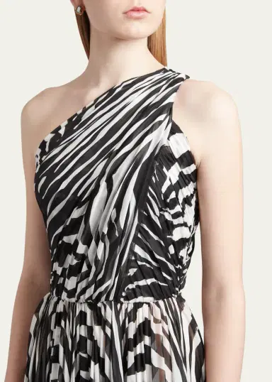 Dolce & Gabbana Zebra-Print One-Shoulder Silk Chiffon Gown | Thumbnail 4