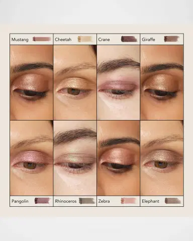 CHANTECAILLE Luminescent Eye Shade | Thumbnail 7