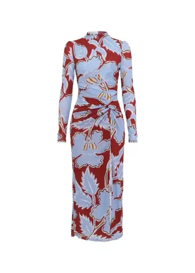Diane von Furstenberg Amadis Floral-Print Mesh Midi Dress | Thumbnail 1